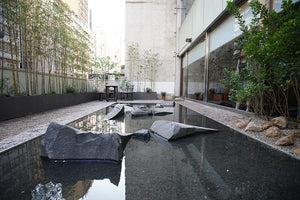 An oasis in the concrete jungle of Hong Kong Mizunara The Library